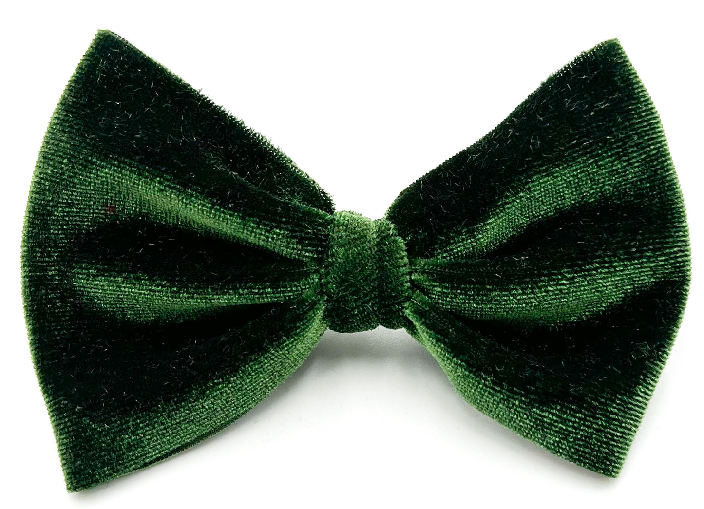 Enchanted Forest Classic