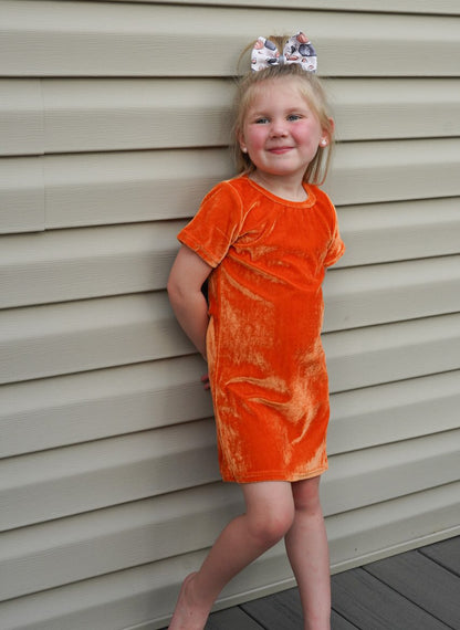 Pumpkin Orange Velvet Dress